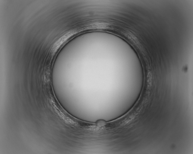 X0000116381081200912161455
