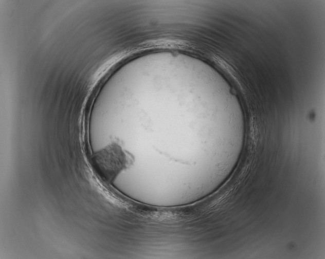 X0000116381082200912161455