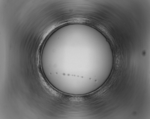 X0000116381083200912161455