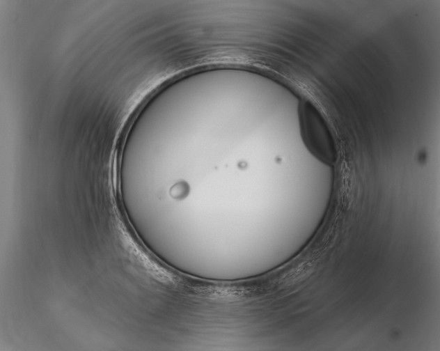 X0000116381084200912161455