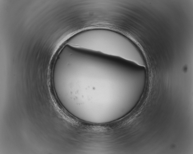 X0000116381085200912161455