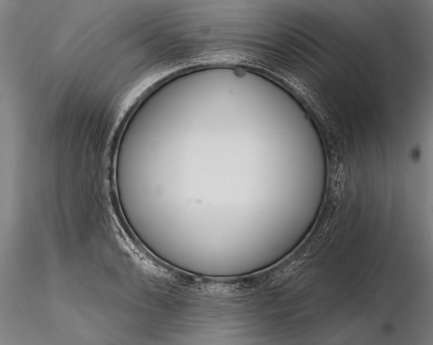 X0000116381086200912161455