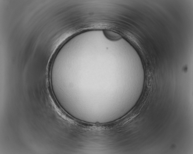 X0000116381087200912161455