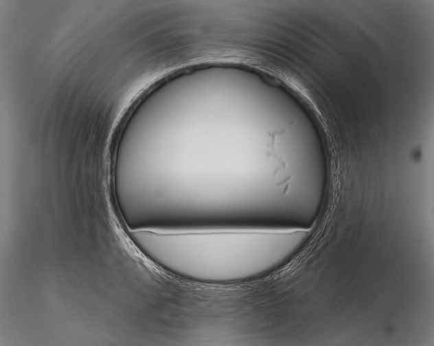 X0000116381088200912161455