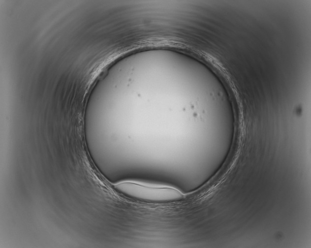 X0000116381089200912161455