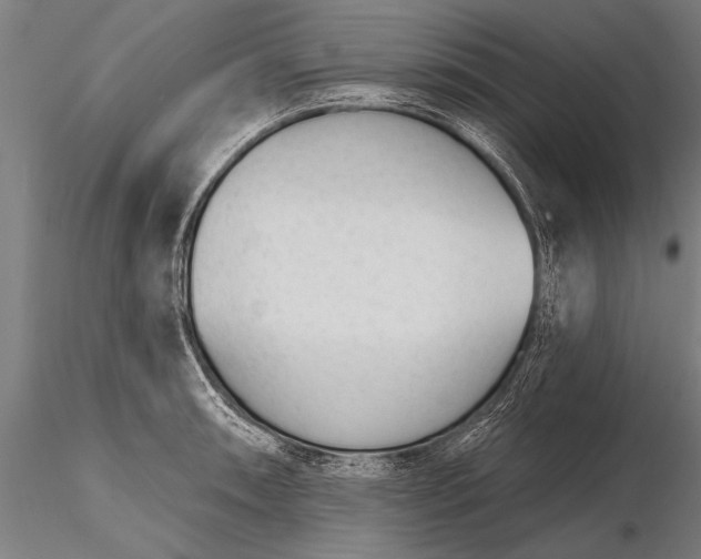 X0000116381090200912161455