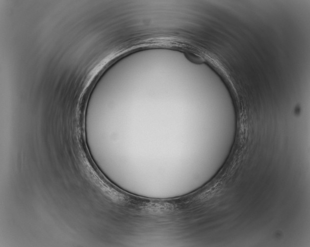 X0000116381091200912161455