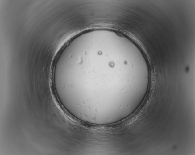 X0000116381093200912161455