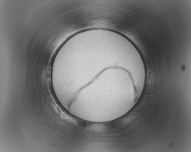 X0000116381094200912161455