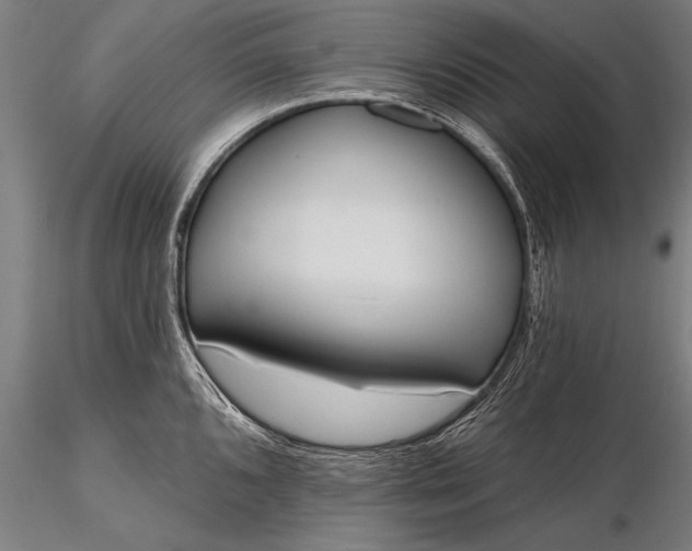 X0000116381096200912161455
