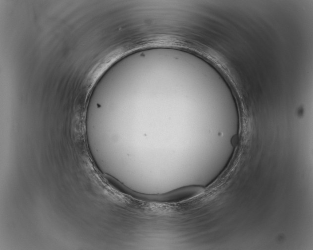 X0000116381097200912161455