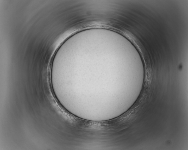 X0000116381098200912161455