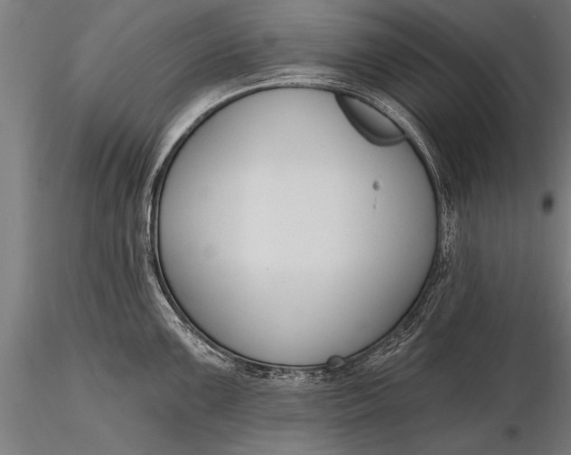 X0000116381099200912161455