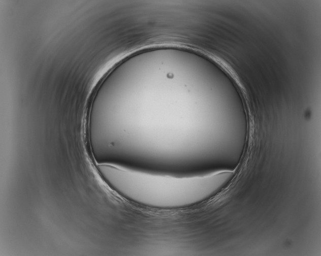 X0000116381101200912161455
