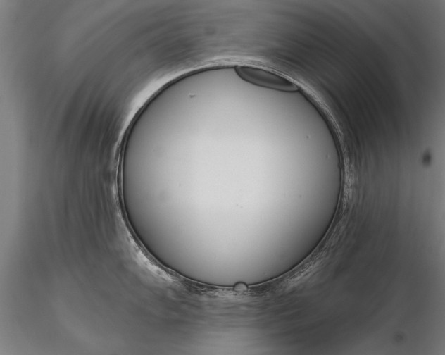 X0000116381102200912161455