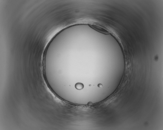 X0000116381103200912161455