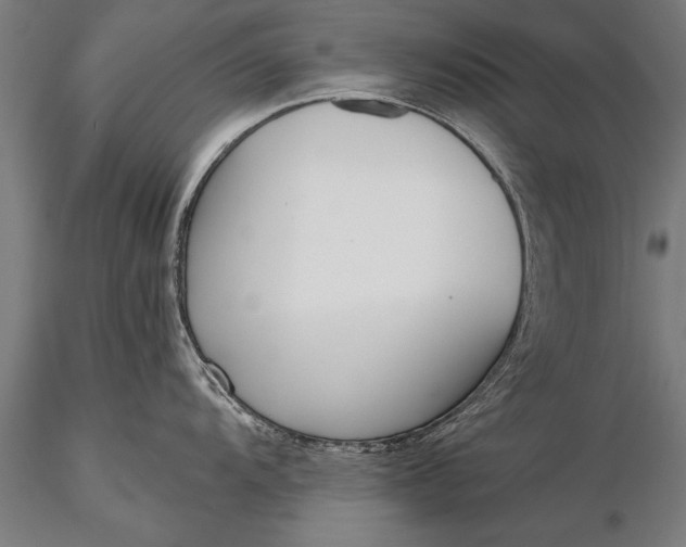 X0000116381104200912161455