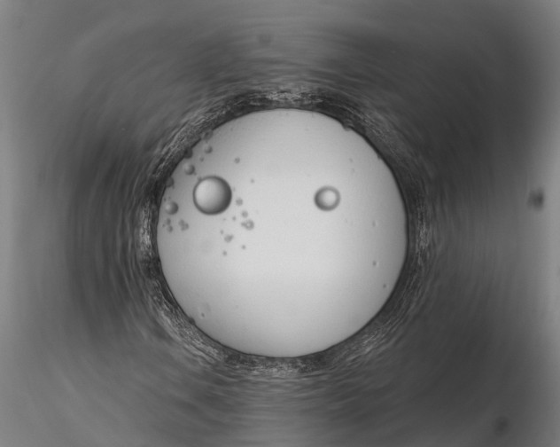 X0000116381106200912161454