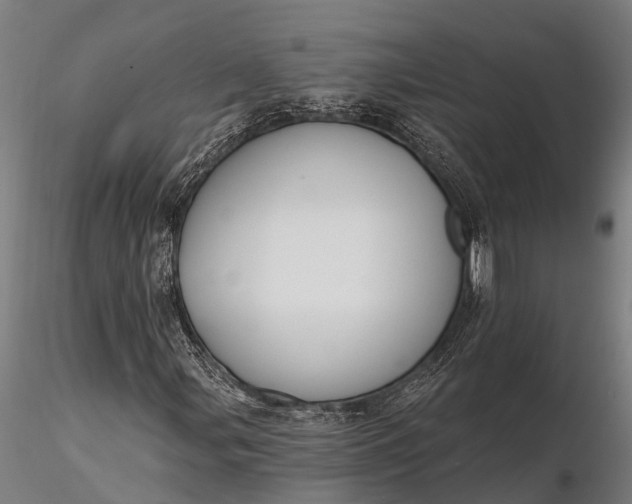 X0000116381107200912161454