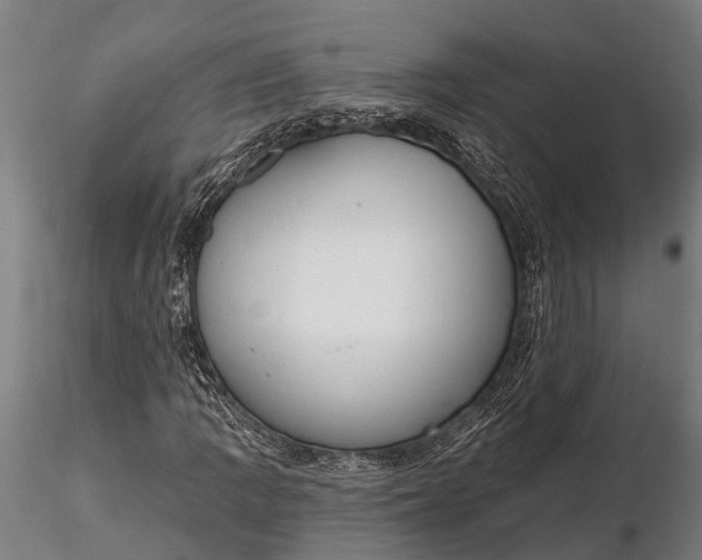 X0000116381109200912161454