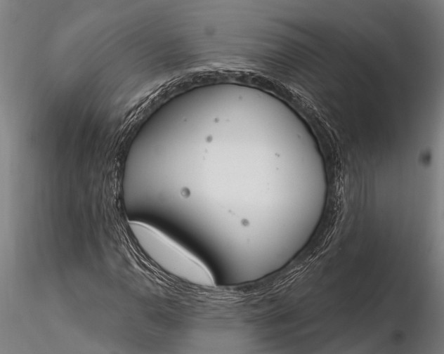 X0000116381110200912161454