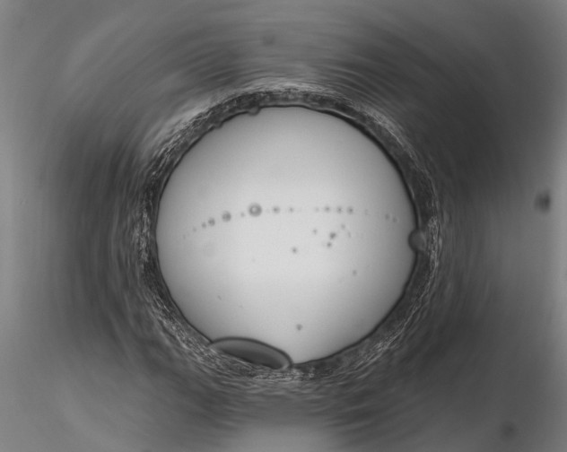 X0000116381111200912161454