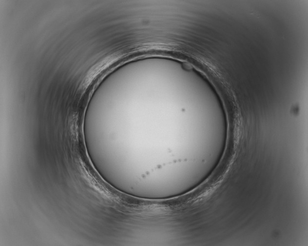 X0000116381113200912161454
