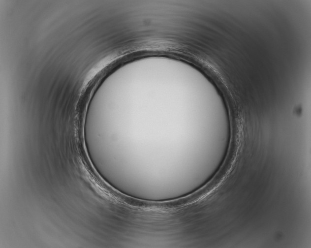 X0000116381114200912161454