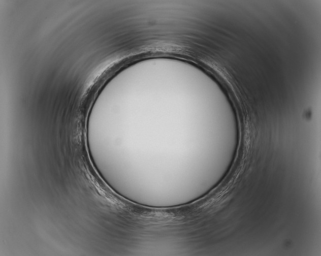 X0000116381115200912161454