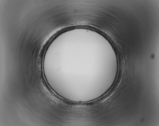X0000116381118200912161454