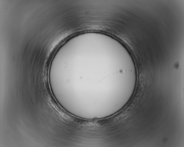 X0000116381119200912161454