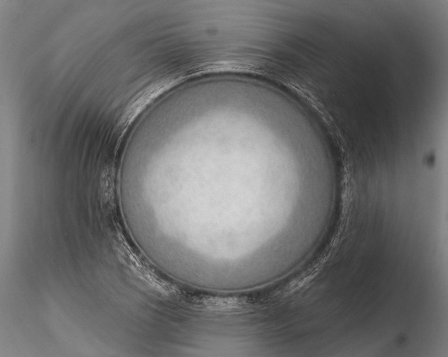 X0000116381121200912161454