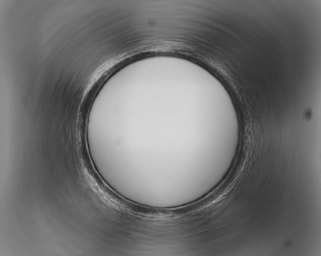 X0000116381122200912161454