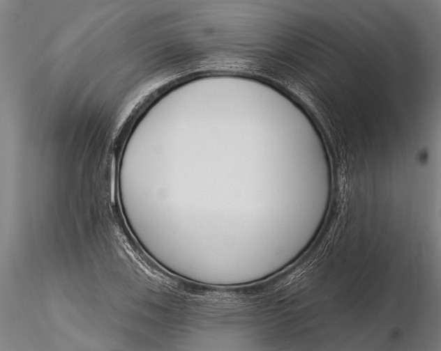 X0000116381123200912161454