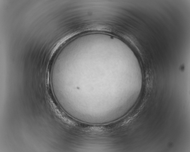 X0000116381125200912161454