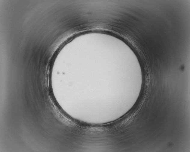 X0000116381126200912161455