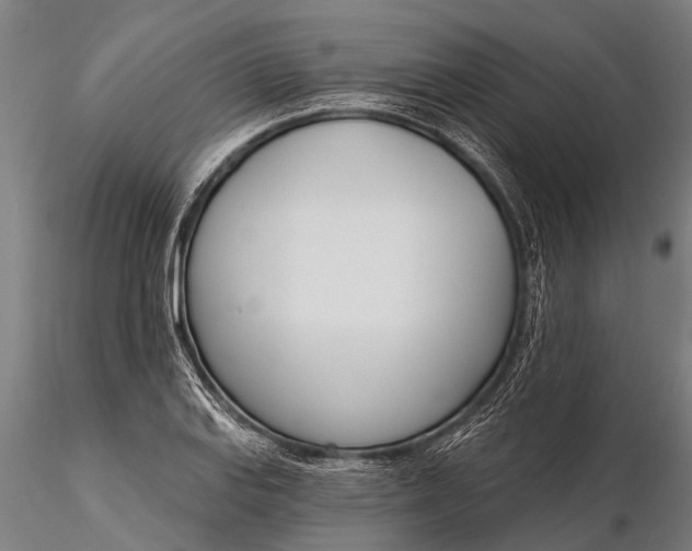 X0000116381127200912161455