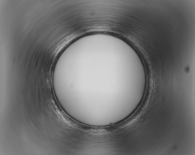 X0000116381129200912161455
