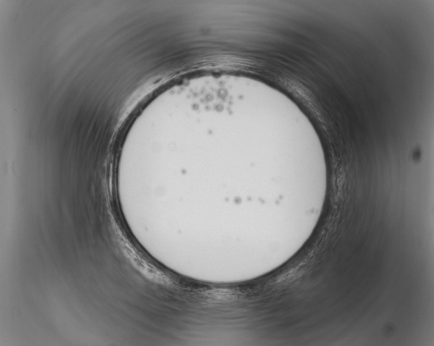 X0000116381130200912161455