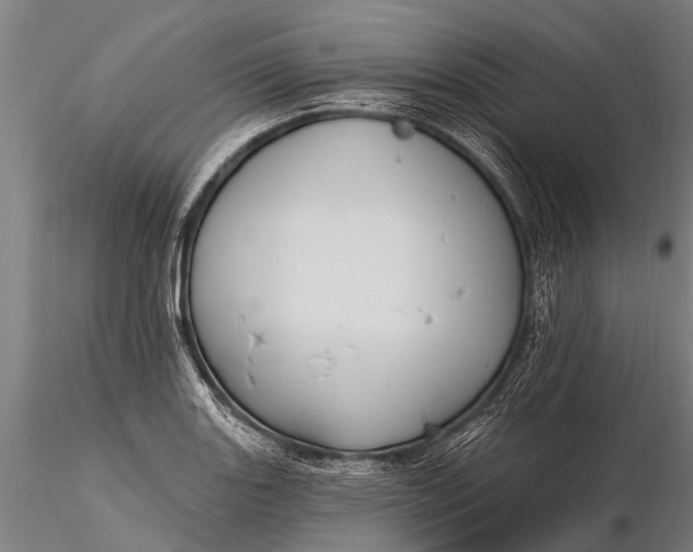 X0000116381131200912161455