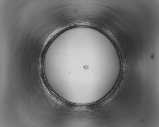 X0000116381133200912161455