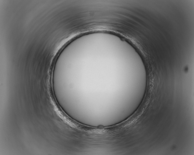 X0000116381134200912161455