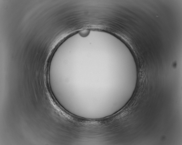 X0000116381135200912161455