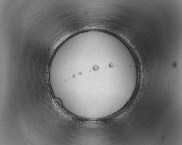 X0000116381137200912161455