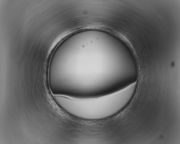 X0000116381138200912161455