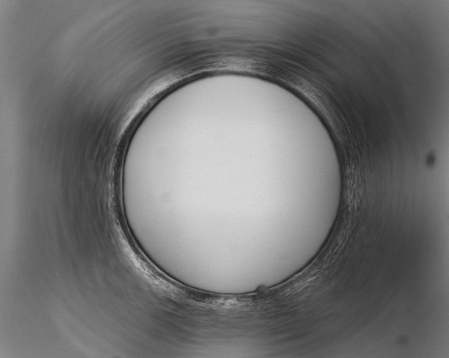 X0000116381139200912161455