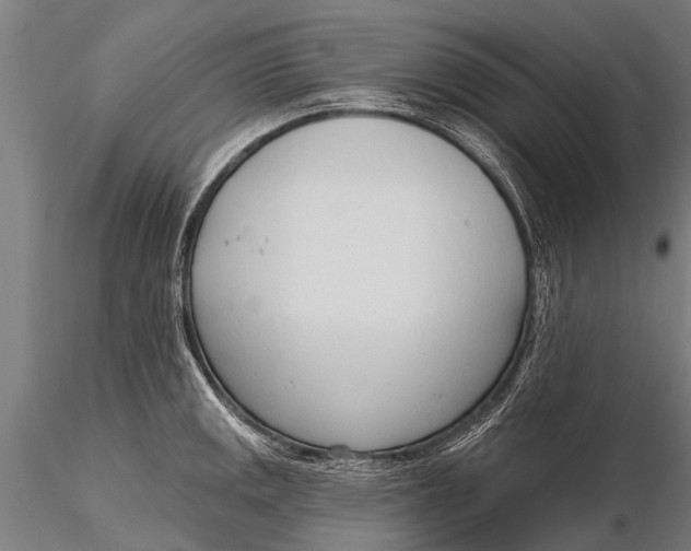 X0000116381141200912161455