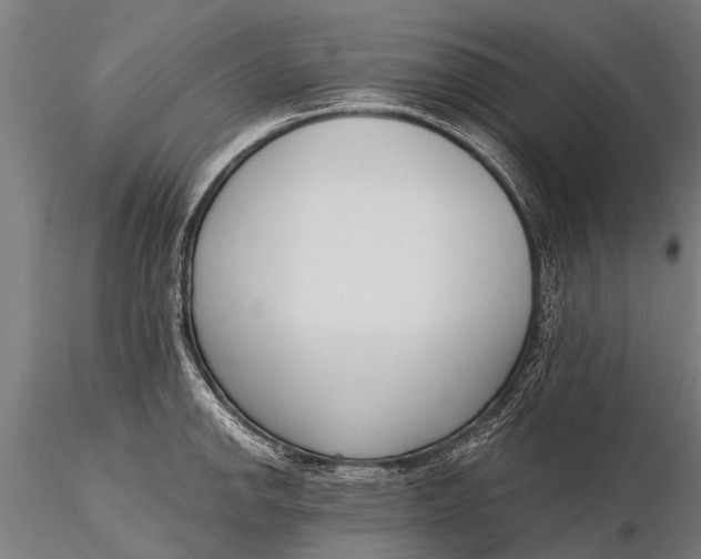 X0000116381142200912161455