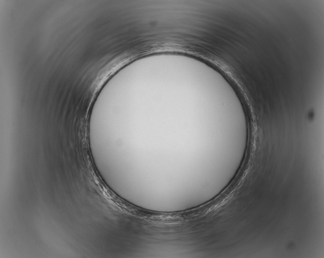 X0000116381145200912161455