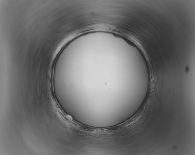 X0000116381146200912161455